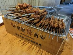 -福苗小骆驼烧烤(莲湖路店)