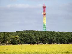 -嘉北郊野公园