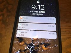 -Apple零售店(成都太古里店)