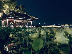 -印象西湖·最忆是杭州实景演出