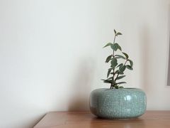-小茶闲舍·观景商务茶馆(广州塔店)