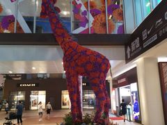 -宁波杉井奥特莱斯广场