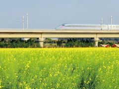 -光明小镇欢乐田园