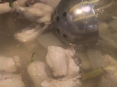 -润园四季椰子鸡火锅(南山海岸城店)