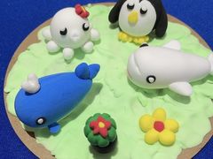 -海合安成都极地海洋公园