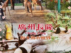 -广州长隆野生动物世界
