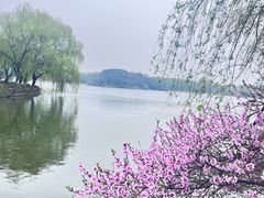 -东华大学(松江校区)