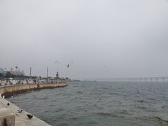 -星海广场