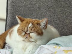 -沐沐家宠物(成寿寺店)