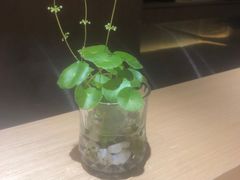 -紫· 割烹  Kappo Murasaki