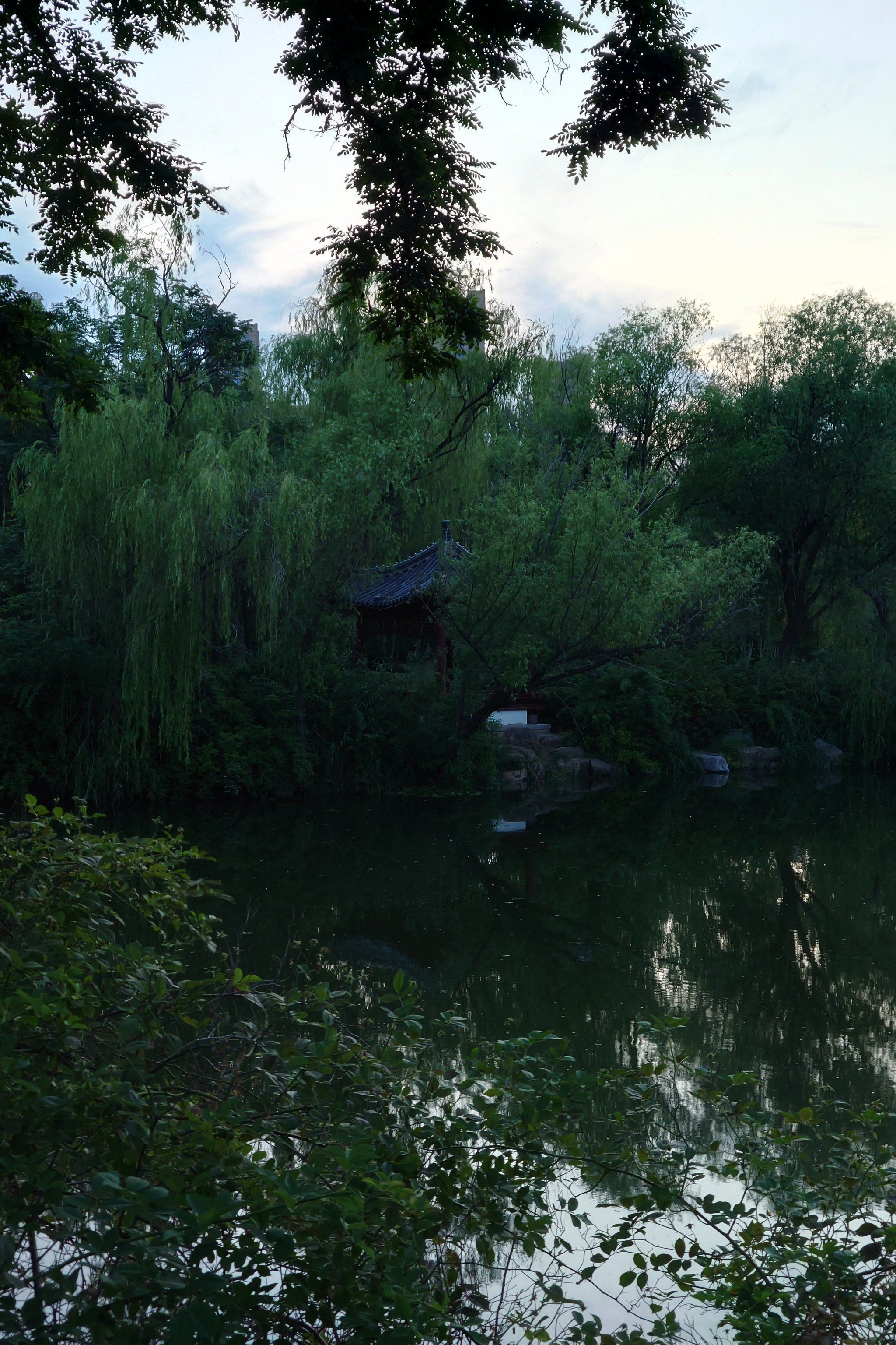 城市公园图鉴——《菏泽天香公园》