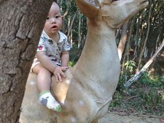 -艾溪湖湿地公园