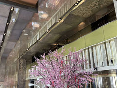 -金轩中餐厅 Jin Xuan(浦东丽思卡尔顿酒店)