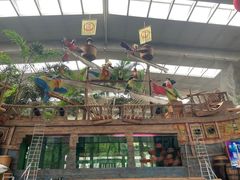 -南宫五洲植物乐园