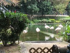 -九龙公园