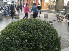 -薛新颖红豆饼(中式甜点山师店)