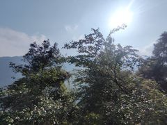 -九皇山景区