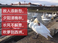 -宁芬堡宫