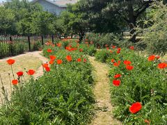 -国家植物园南园