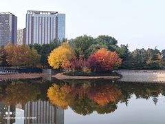 -大望京公园