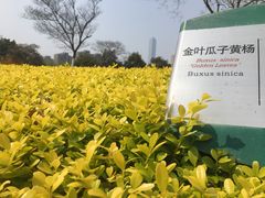 -白塘生态植物园