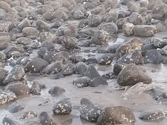 -厦门湾·白塘湾火山公园