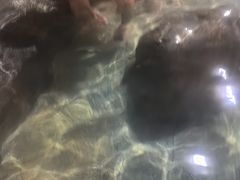 -青城道汤池