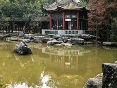 -顺峰山公园
