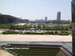 -羲和雅苑•北京烤鸭(乐园道万象城店)