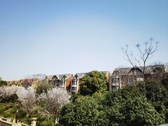 -美兰湖景区