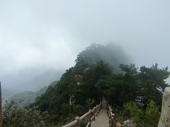 -西安祥峪森林公园