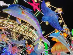 -第35届青岛国际啤酒节