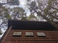 -同里国家湿地公园