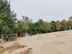 -东郊湿地公园