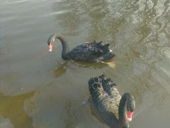 -石家庄市动物园