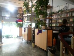 -青禾造型&刺青