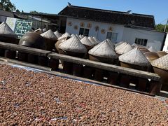 -苏州市吴中区光福窑上花果蜜饯厂