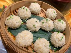 珍珠糯米元-俭朴菜(鲁磨路店)