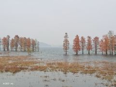 -余姚四明湖开元名都度假酒店·夏威夷西餐厅