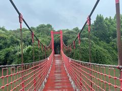 -上海吴淞炮台湾国家湿地公园