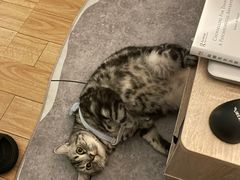 -美联众合动物医院·24h京西诊疗中心