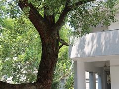 -湖北美术学院(昙华林校区)