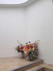 -WAVE SODA摄影工作室