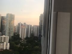 -新加坡乌节希尔顿酒店 (SG Clean)