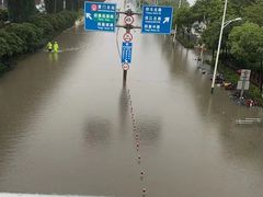 -嘉庚体育馆