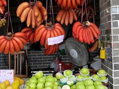 -南沙十九涌渔人码头-南门