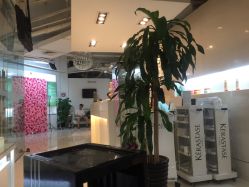 -ace hair salon top 无痕接发