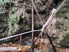 -羚羊峡古栈道森林公园