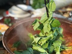 -悦哉·派对·草坪婚礼·围炉煮茶(三圣乡店)