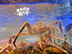 -南海渔村(珠江新城店)